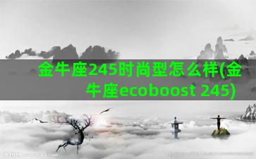 金牛座245时尚型怎么样(金牛座ecoboost 245)